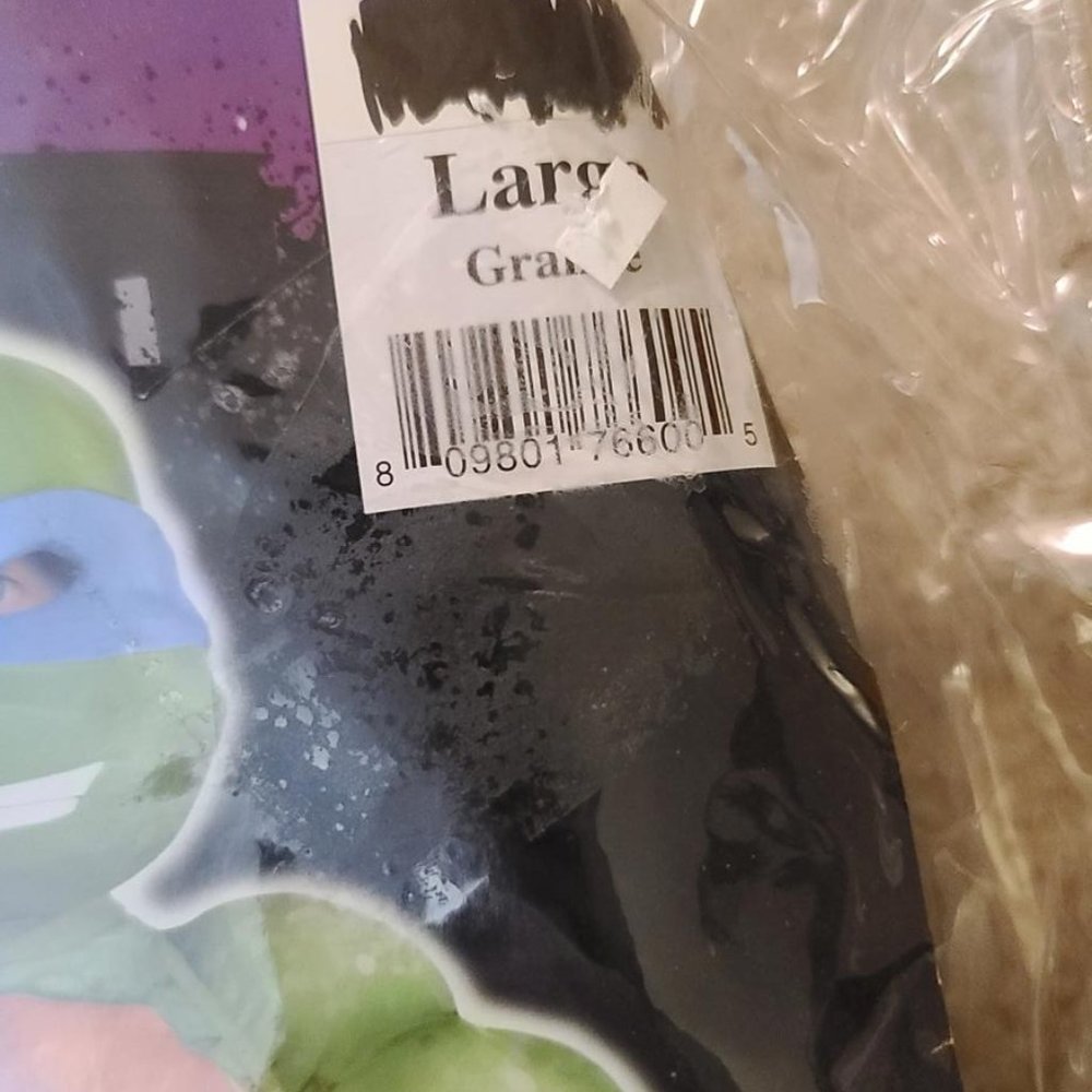 Teenage Mutant Ninja Turtles Leonardo Costume Kids Large 12-14 Deluxe Costume - Picture 8 of 10